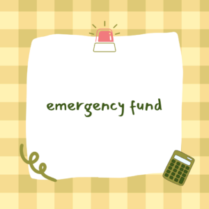 emergency fund calculator