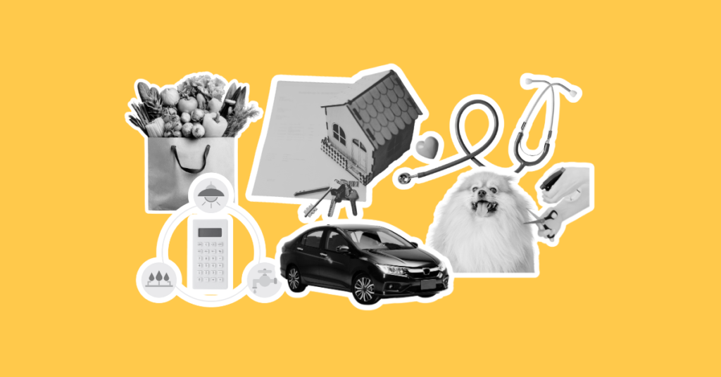 Typical Household Expenses